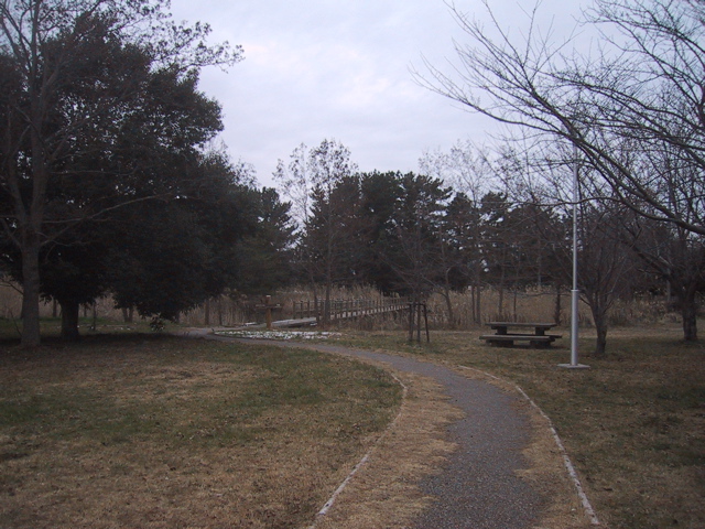f0046250_12141719.jpg