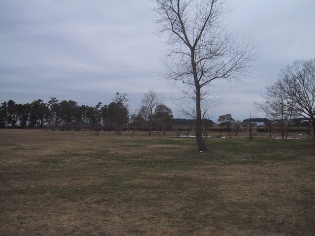 f0046250_12143117.jpg