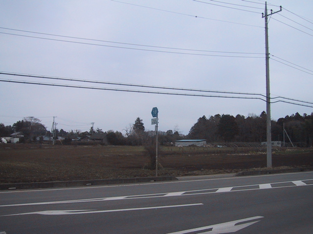 f0046250_12311345.jpg