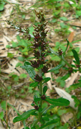 d0091754_0563971.jpg