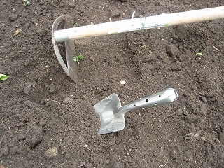 e0004756_21122540.jpg