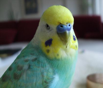 f0149057_20154270.jpg