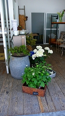 e0001860_20165496.jpg
