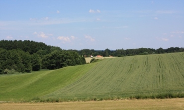 b0091164_5293453.jpg