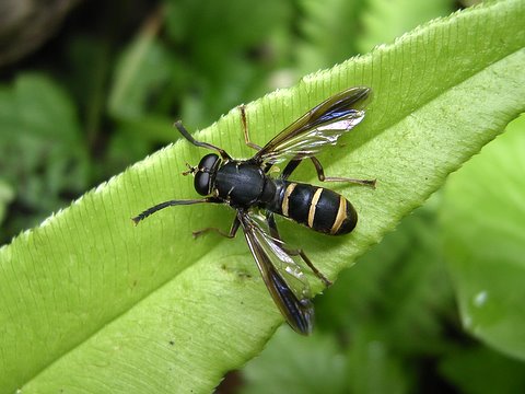 b0130166_17282155.jpg