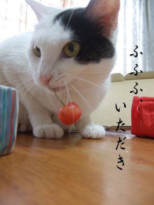 a0064067_132067.jpg