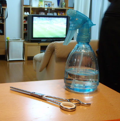 c0122670_22401860.jpg