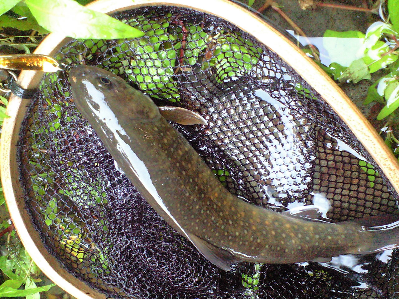 a0093677_1682910.jpg