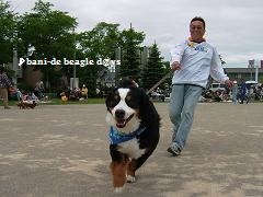 f0150377_3594918.jpg