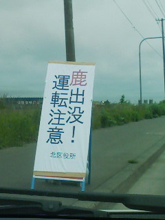 a0043579_23424525.jpg