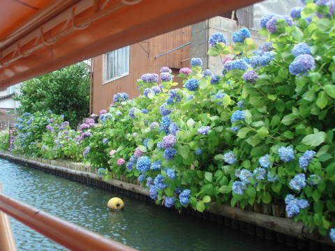 d0098183_9294694.jpg