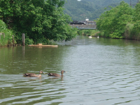 d0098183_9303779.jpg