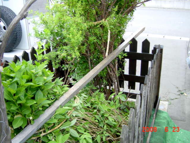 a0007388_10191923.jpg