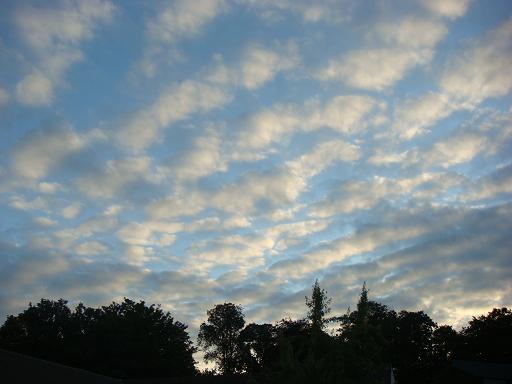 f0044892_5474911.jpg