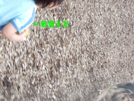 e0060693_2350122.jpg