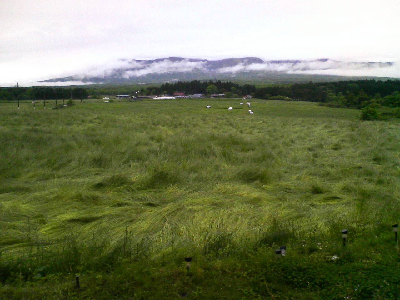 f0108399_7323621.jpg
