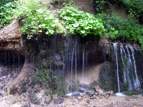 e0043700_20373391.jpg
