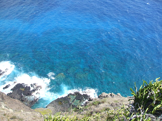 e0084001_188365.jpg