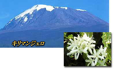 a0075802_2214870.jpg