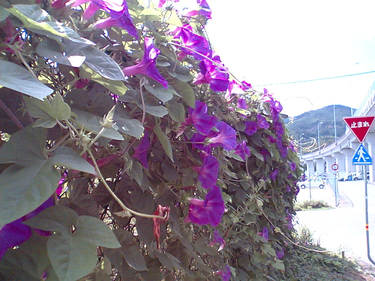 d0102007_16574478.jpg