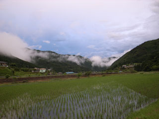 f0135908_4572251.jpg