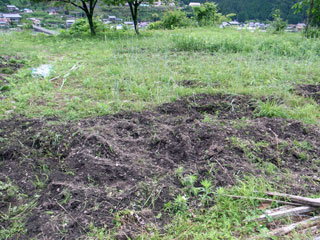 f0135908_4574592.jpg