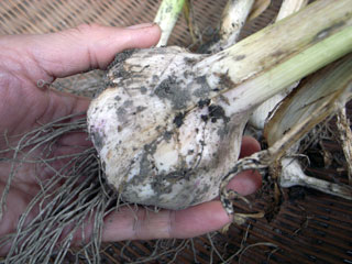 f0135908_4582210.jpg