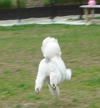 a0109914_22551010.jpg