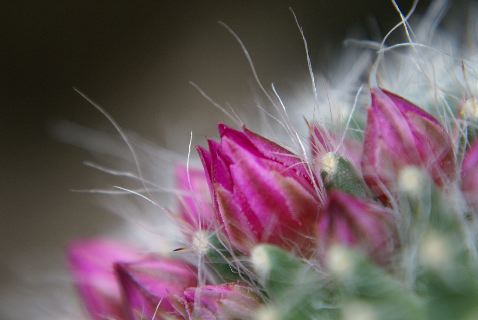 b0053414_21422427.jpg