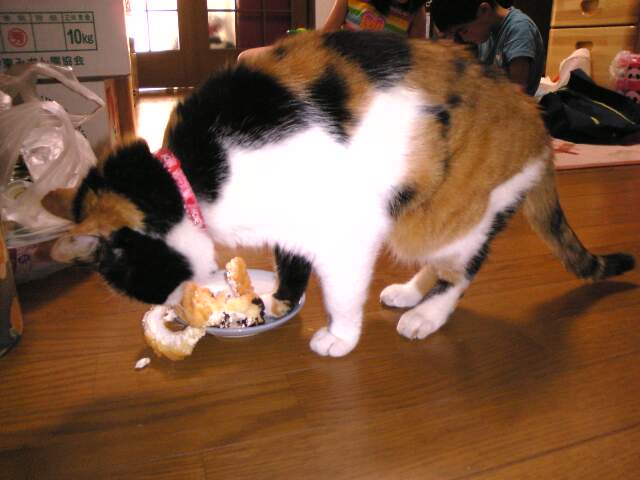c0003217_17205231.jpg