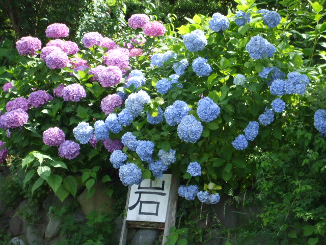b0096418_1932479.jpg