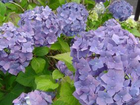 c0135618_1244689.jpg