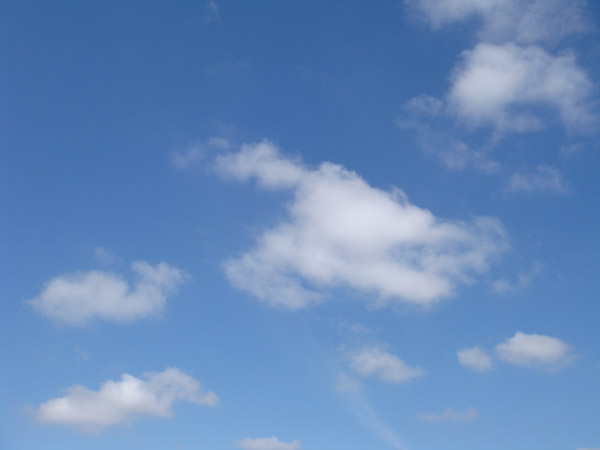 f0077521_9204350.jpg