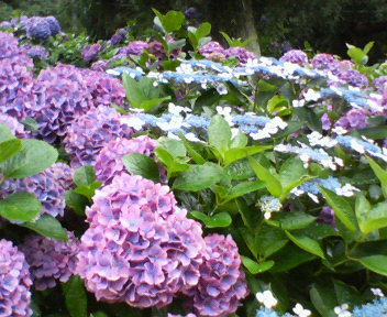 f0036223_10173794.jpg