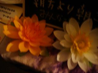 b0142224_029254.jpg