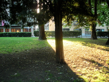 f0173324_5433994.jpg