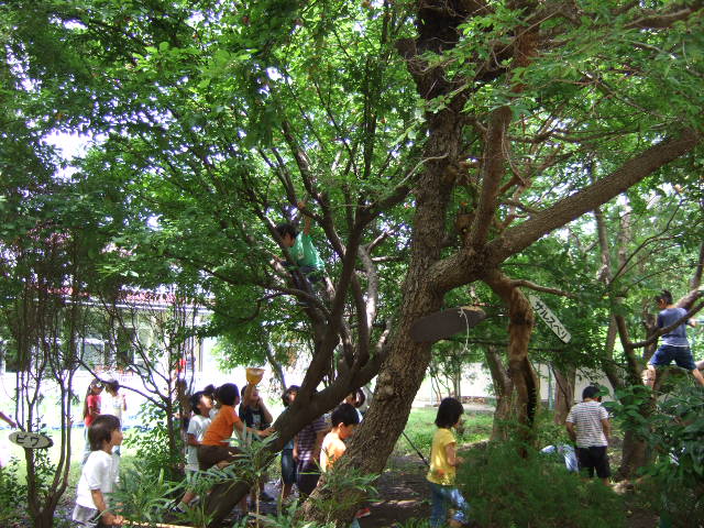 e0069234_15552542.jpg