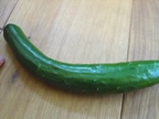 e0127935_1205153.jpg