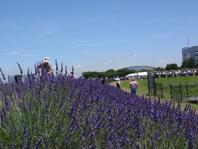 d0093936_17184160.jpg