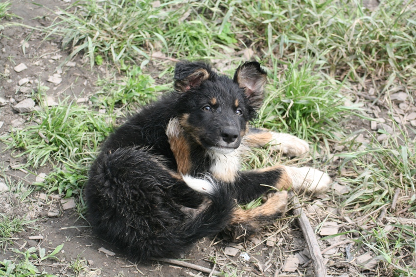 d0077740_22393057.jpg