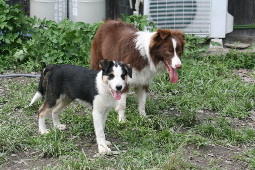 d0077740_22403195.jpg