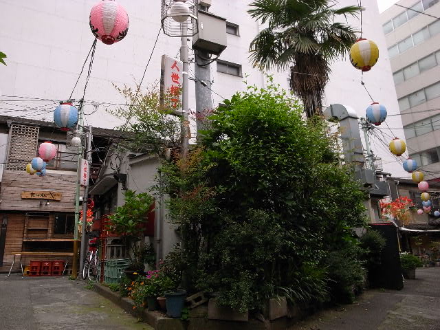 a0087341_5342048.jpg