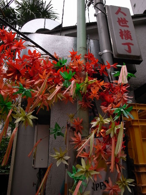 a0087341_534790.jpg