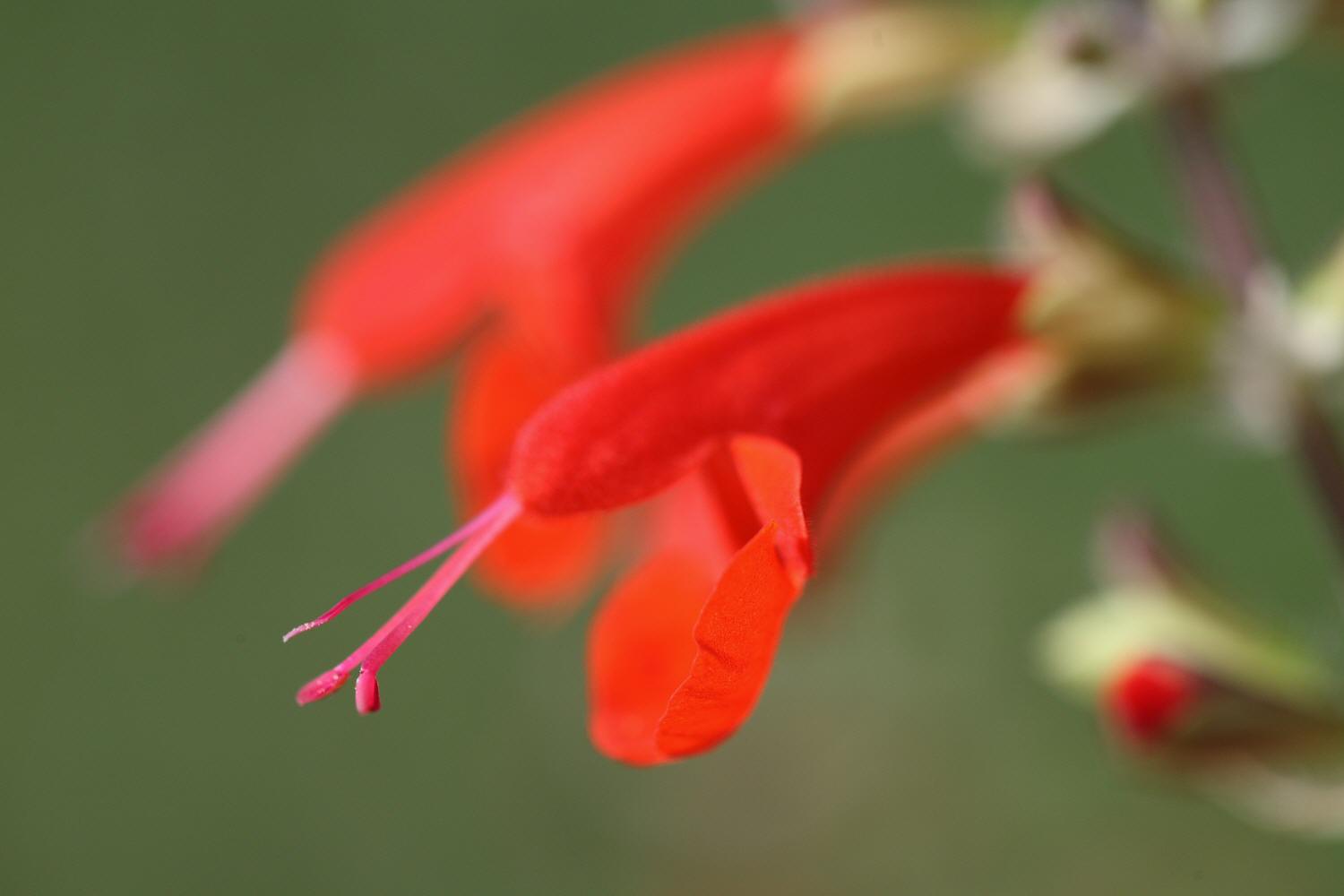 a0094850_5121647.jpg