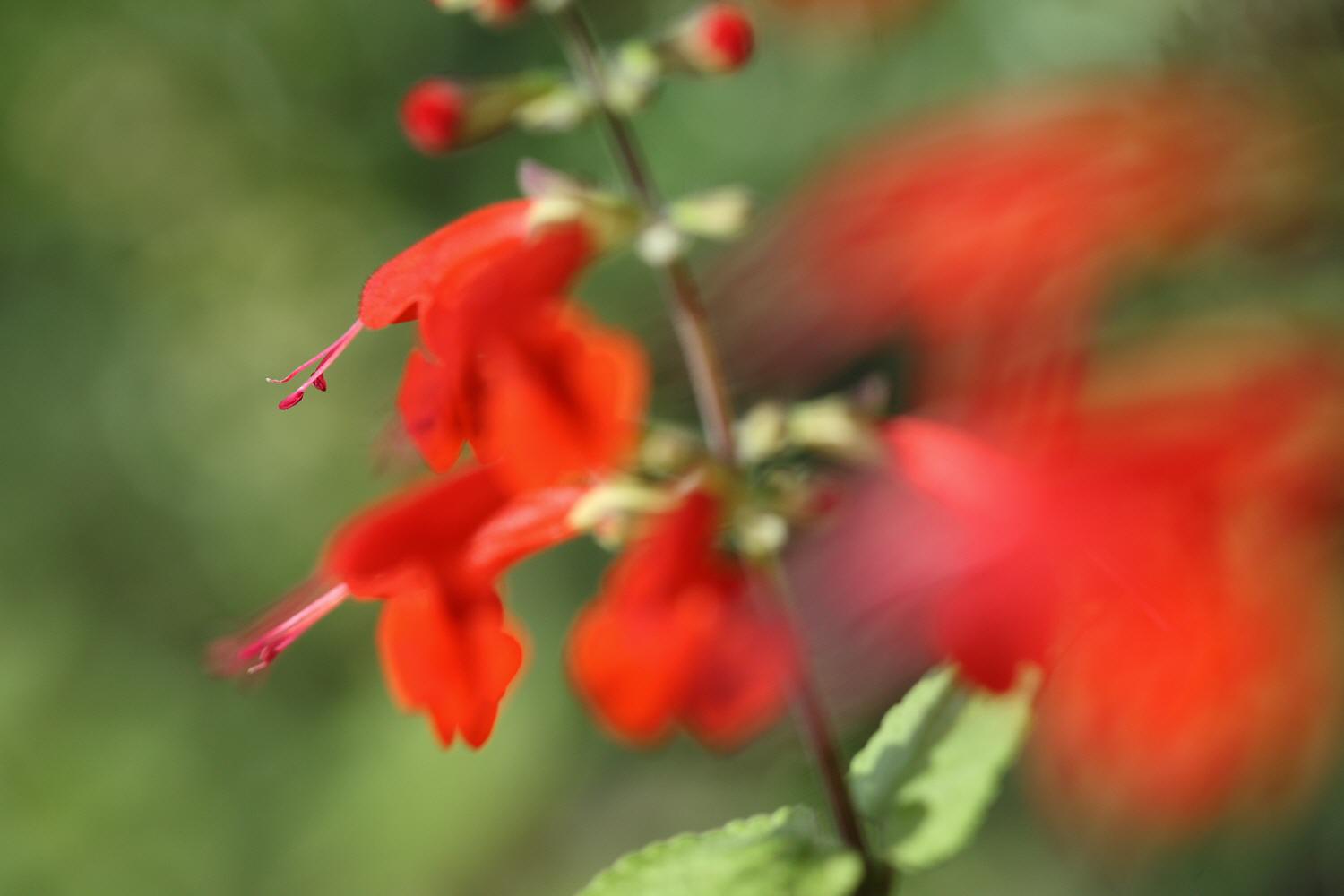 a0094850_512475.jpg