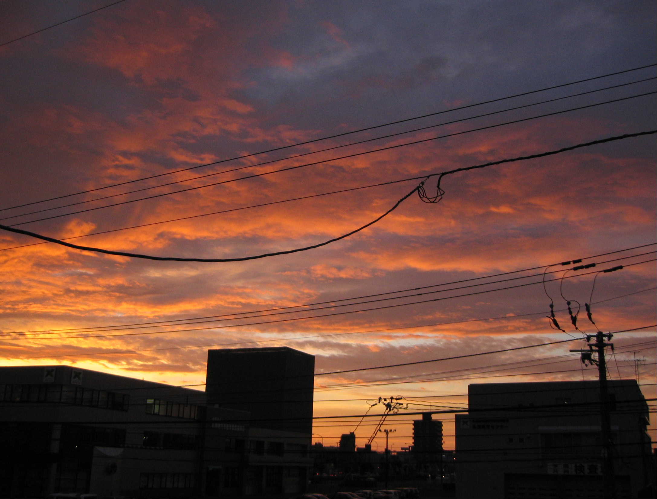 c0148165_2391199.jpg