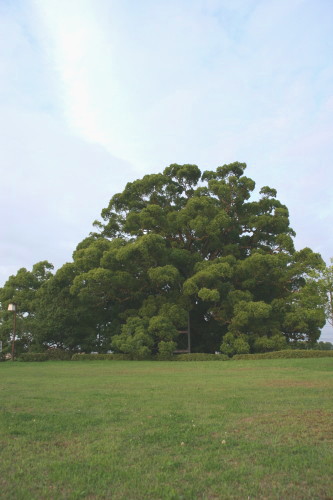 f0170566_142313.jpg