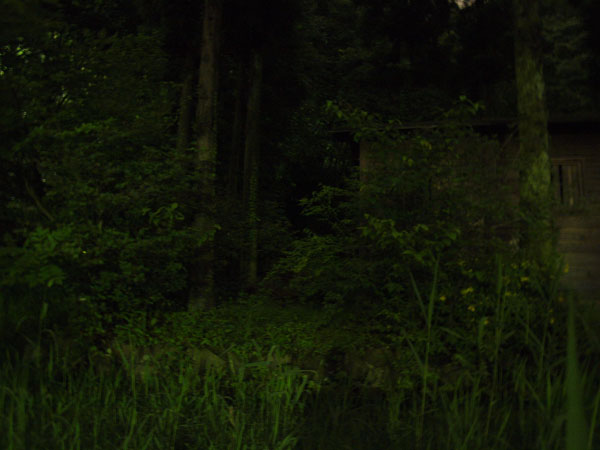 c0122670_21512225.jpg