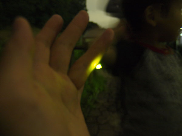 c0122670_21551367.jpg
