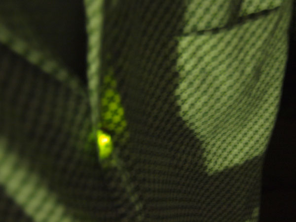 c0122670_21561959.jpg